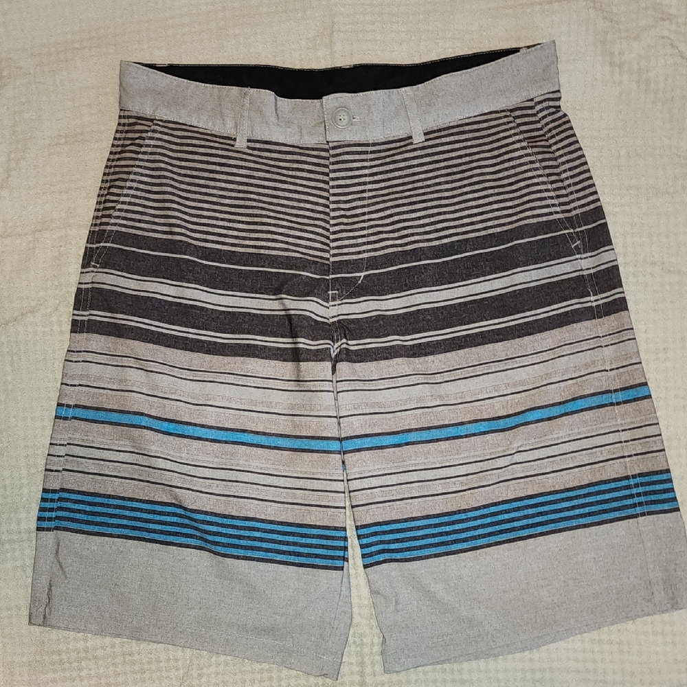 Striped Gray and Blue Men's Board Shorts